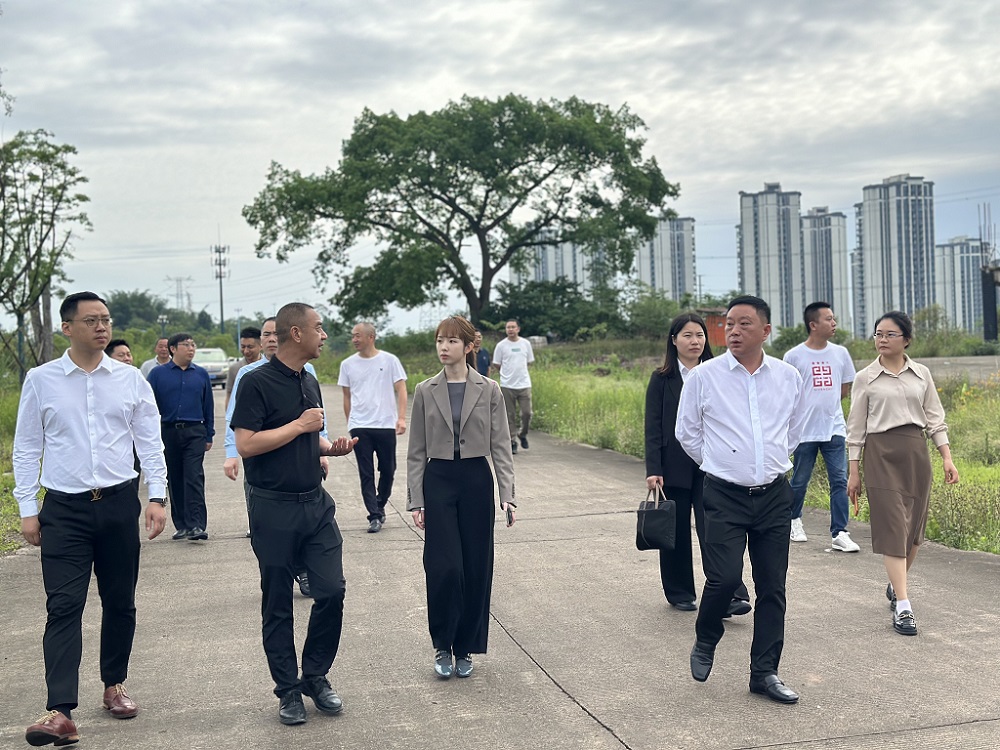 公司领导赴宜宾南溪开展考察调研