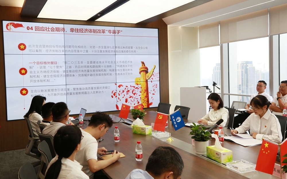 公司党委传达学习贯彻党的二十届三中全会精神