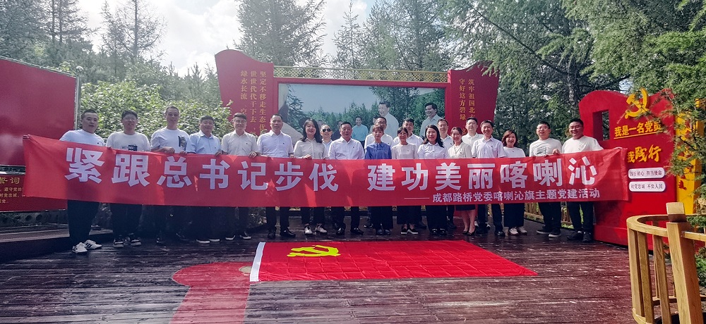 公司党委传达学习贯彻党的二十届三中全会精神