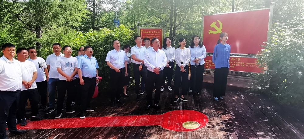 公司党委传达学习贯彻党的二十届三中全会精神