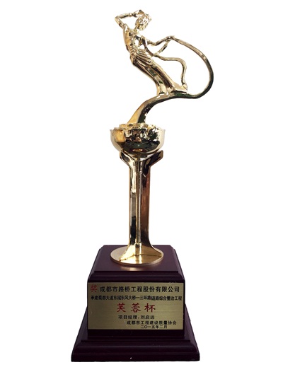 芙蓉杯金奖-成都市蜀都大道综合整治工程 